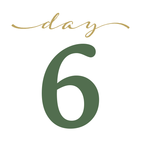 December 6