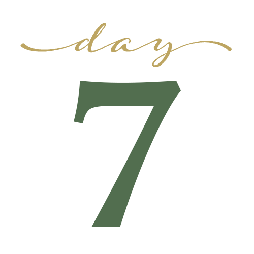 December 7