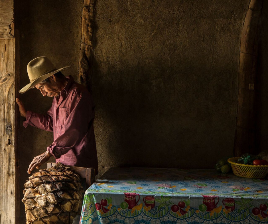 Greg Davis' photograph called "Emigdio the Mezcalero, Oaxaca"