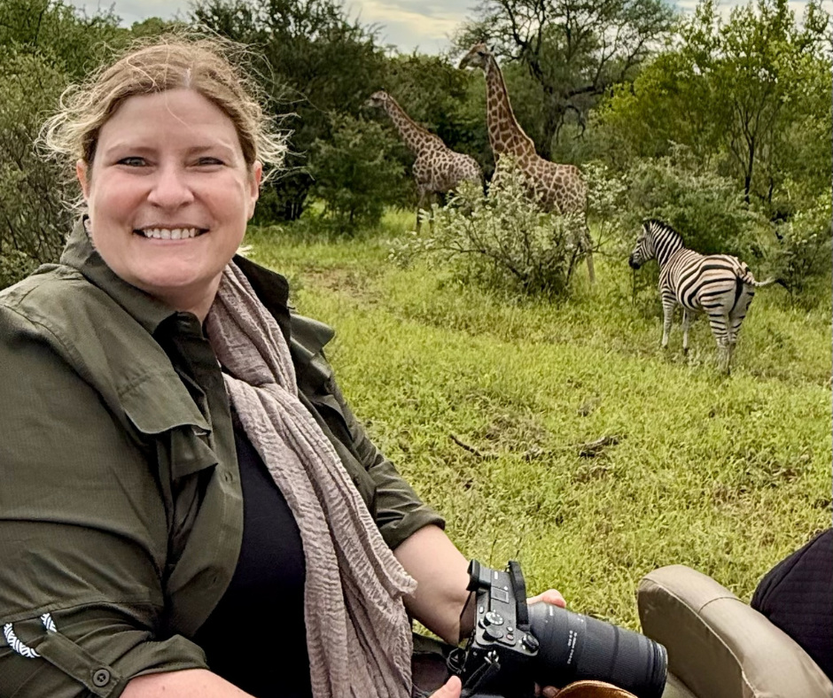 Woman on a safari, she is holding a camera and there are two giraffes and a zebra next to her
